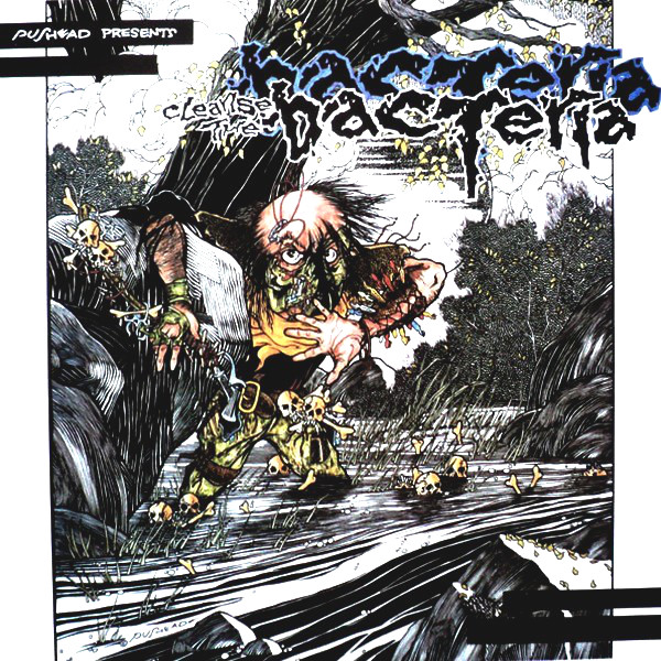 期間限定30％OFF! LP Bacteria the Cleanse - ROCKNROLL MAXIMUM 洋楽