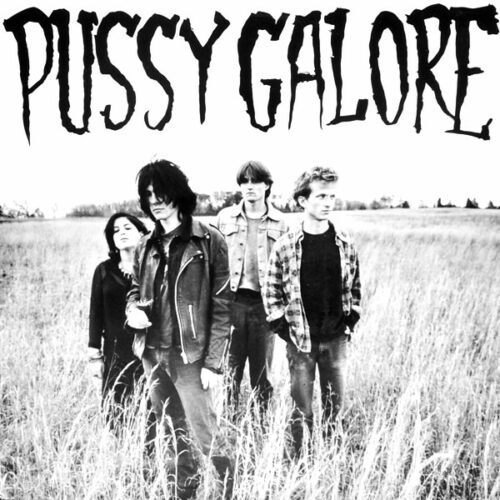 【貴重】Exile On Main St. / Pussy Galore Pussy Galore – Exile On Main St – Cassette (Album, Limited
