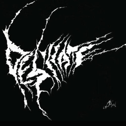 Desiccate MAXIMUM ROCKNROLL