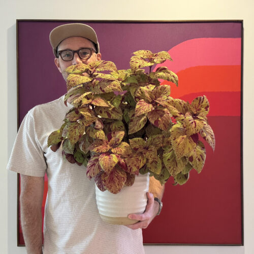 Alex holding a coleus