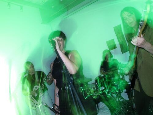 The Gussets at Fish Factory (photo by Rob Camp)