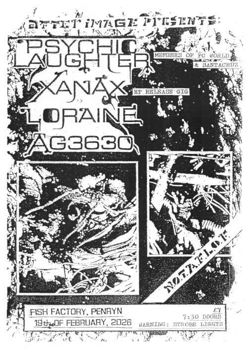 A synth-punk night at Fish Factory in February (poster by Rob Roche)